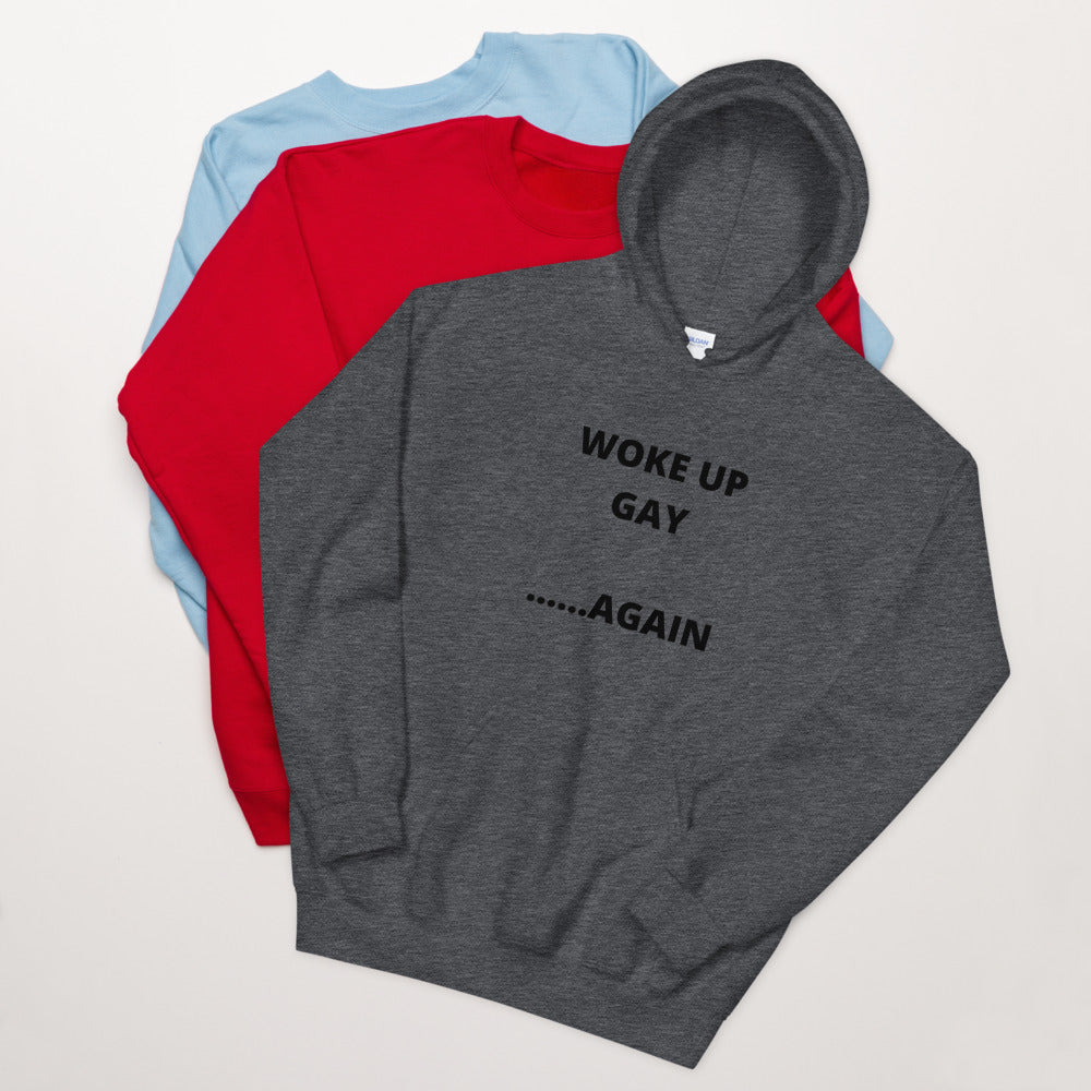 WOKE UP GAY, AGAIN- Unisex Hoodie